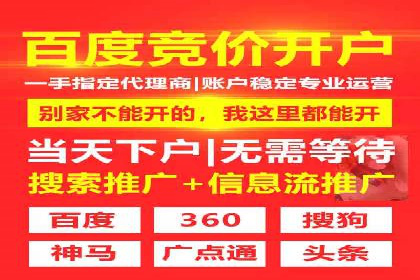 某某SEM服务公司成功案例：从数据出发的营销策略